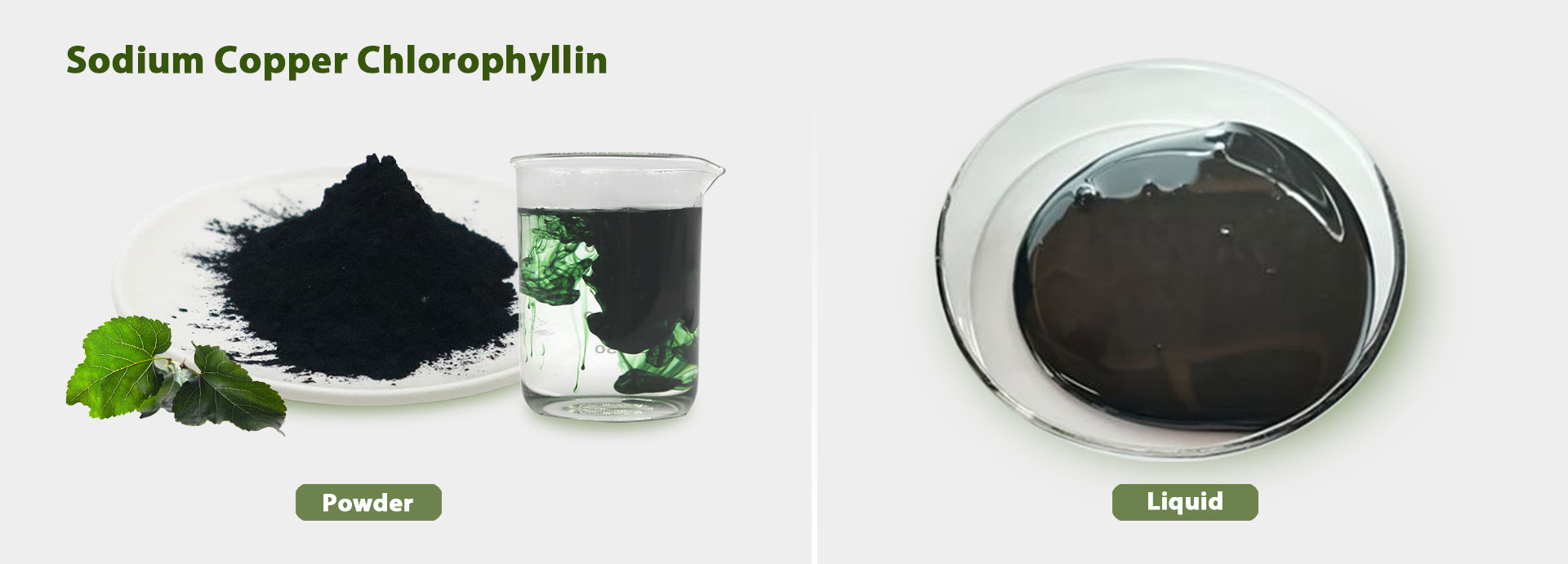product-1-1 Bulk Sodium Copper Chlorophyll Powder