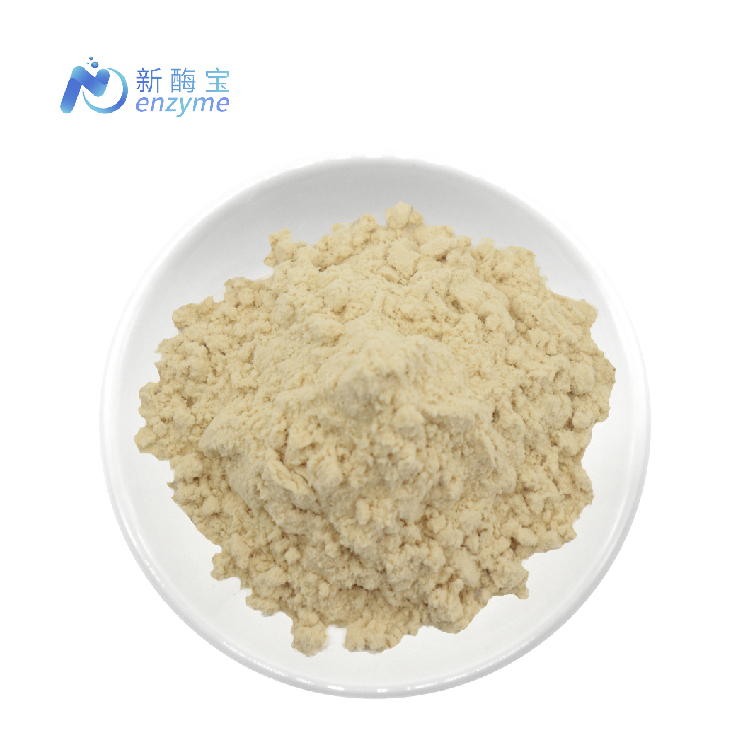 Wholesale Pineapple Extract Bromelain SupplierNovenzyme